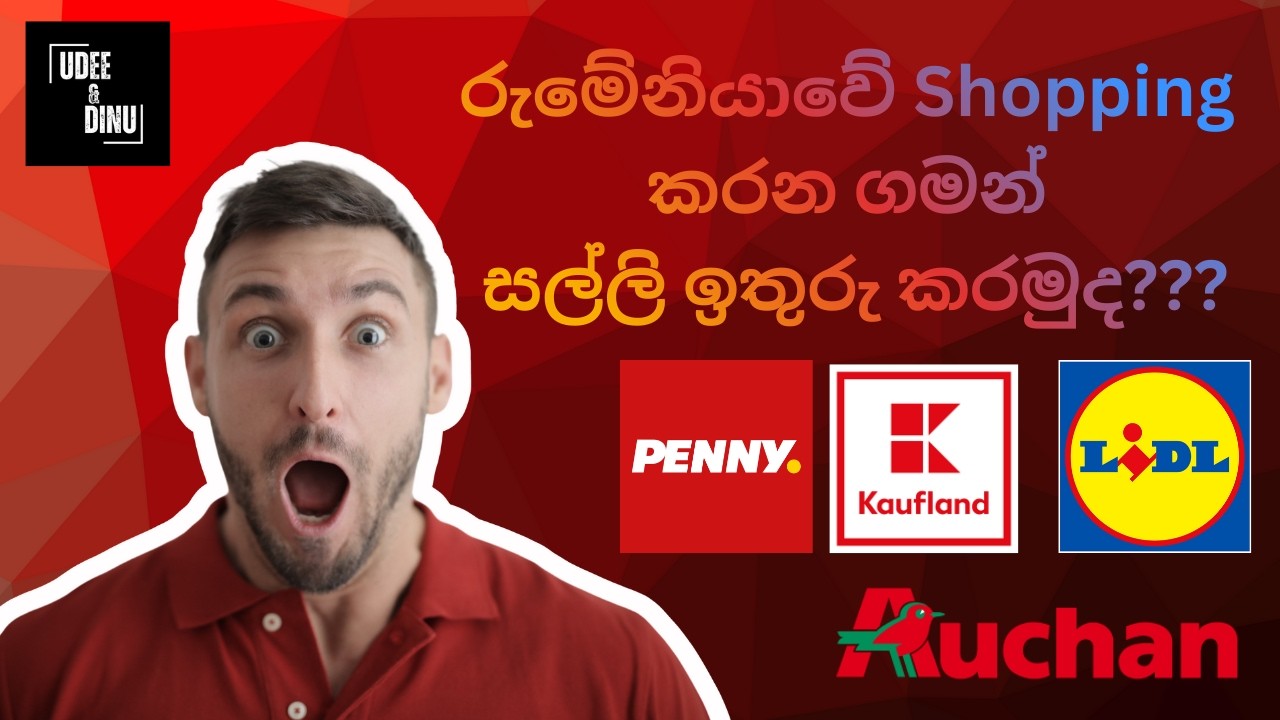 රුමේනියාවේ සල්ලි වියදම් නොකර ගෙදරට බඩු ගෙනාපු විදිය 🤔| Royalty card offers in Romania🇷🇴@UdeeNdinu