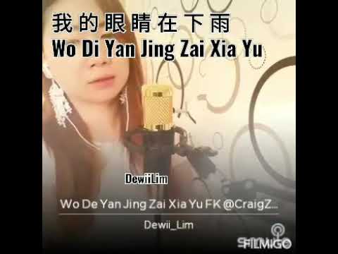 我的眼睛在下雨_ Wo Di Yan Jing Zai Xia Yu | DewiiLim | lirik | Mandarin Old song