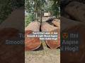 Carpenter Ka Secret 😲 Tun Ki Gol Lakdi Itni Use Kyun Hoti Hai?#viralvideo #viral #ukusman
