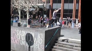 red panda parkour