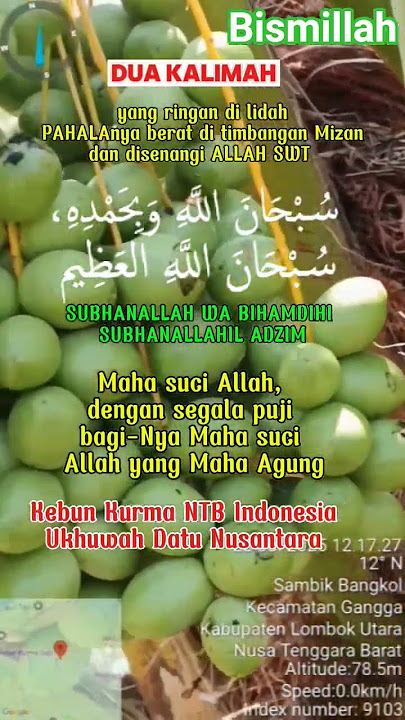 Dzikir #buah #kurma #ntb #indonesia