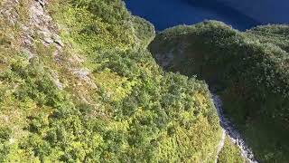 Fetanipa base jump 2 piece