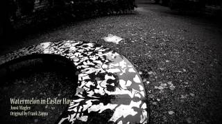Joost Maglev - Watermelon In Easter Hay Frank Zappa Cover