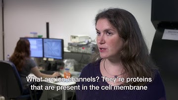 NanoNextNL Cell membrane on a chip