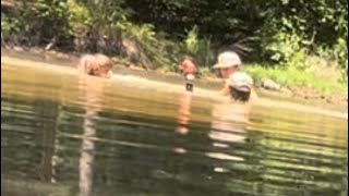 Honda 420 Deep in Pond