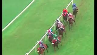 (128) The Malvado Plate Div-2 Sep 21 2018 winner INCI The Malvado Plate Div 2 Winner Egyptian Prince