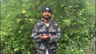 external achievements will never heal your internal wounds...