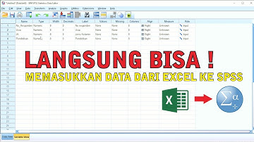 Cara menginput/memasukkan data dari Ms Excel ke IBM SPSS