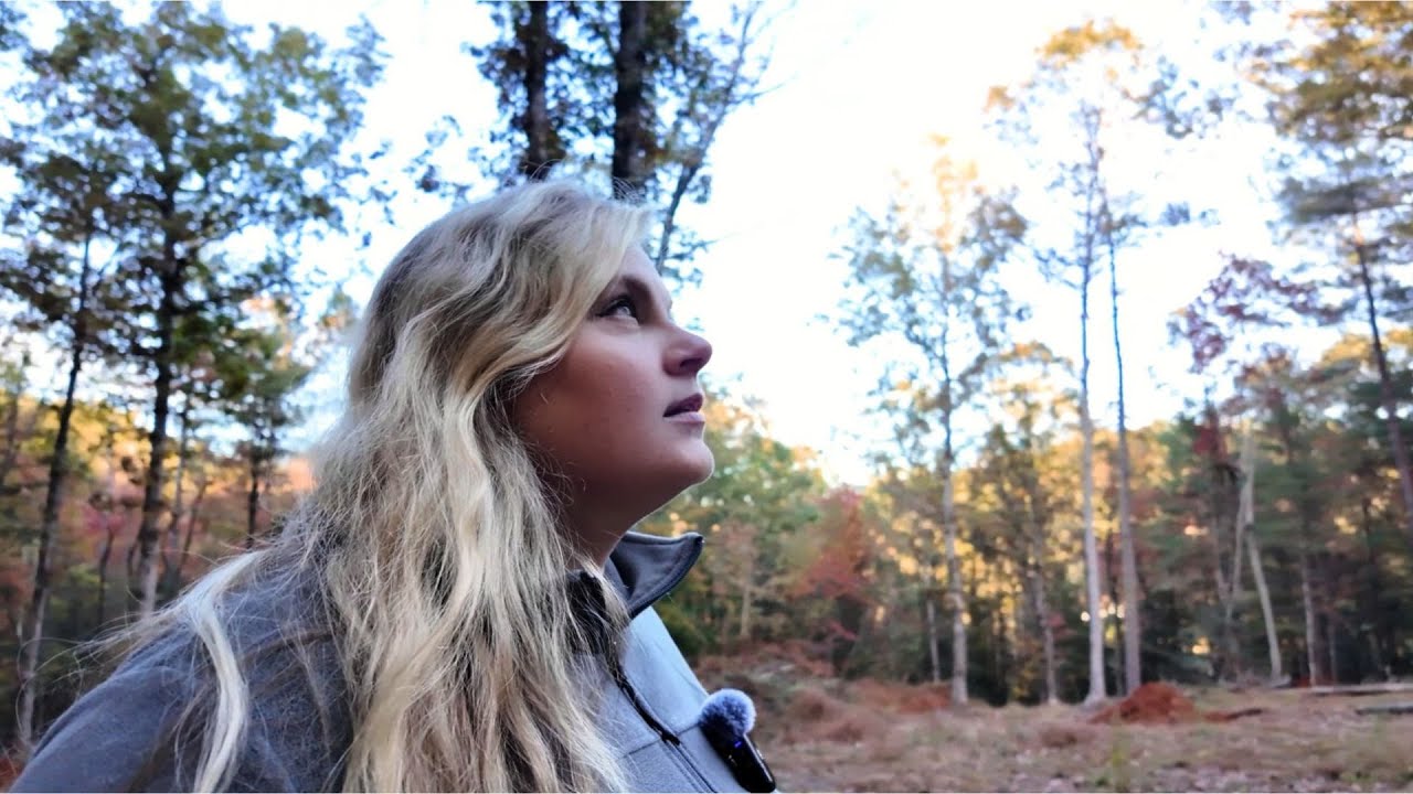 Solo Hiking in the Woods | Peaceful Sunrise & Nature Sounds