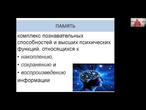 Использование мнемотехники в образовательном процессе организаций дополнительного образования