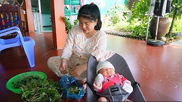 Thăm Lợp Trong Vườn Ngập Nước Cùng Bữa Cơm Canh 3 Món Ấm Cúng Quê Nhà | MTQH