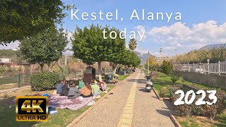 Жизнь в Кестеле, Алания: обзор района, погода и недвижимость в Турции 2023