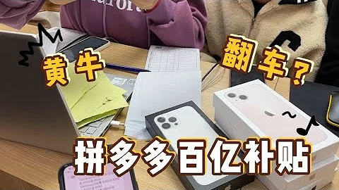 深圳華強北手機販子在拼多多百億補貼擼了幾台 iPhone13 倒手利潤1000元 - 天天要聞