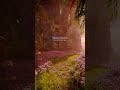 Love: Inspiring WhatsApp Status | 4k