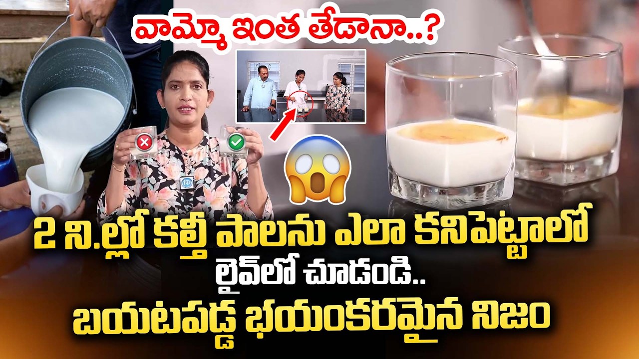 కల్తీ పాలను ఇలా గుర్తించండి.. |Adulterated Milk Test | Which Milk is Good or Bad |Rajamundry |iDream