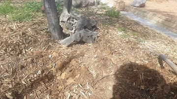 Creating Microclimate Soil  |  Scottsdale Urban Farm