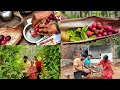 जंगलातील ताज्या कोकम फळांपासून सरबत बनवण्याची पारंपरिक पद्धत|Kokum Juice @Gajalincho Konkan