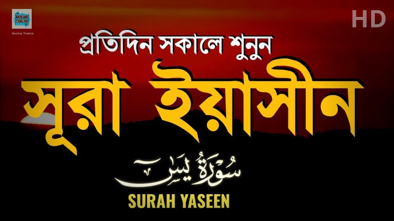 Surah Yasin (Yaseen) سورة يس | Quran tilawat | Muslims Timeline 