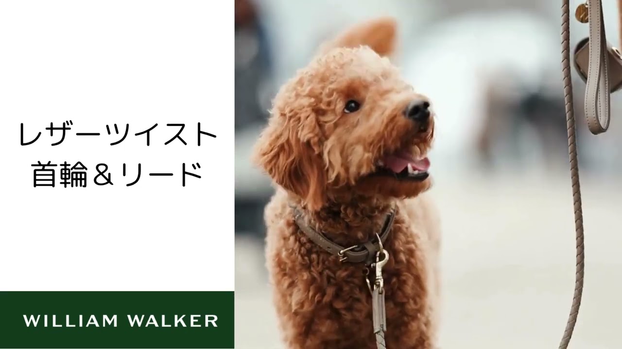 William Walker] レザーリード ツイスト サンド/ベビーブルー