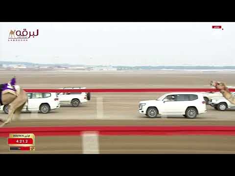 ش1 مغثة ل عيسى سعيد عيسى الخييلي ختامي الوثبة 12 05 2025ص كأس الجذاع بكار محليات إنتاج 8 57 88