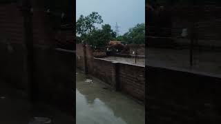 #RailwayNews#TrainAccident#RailSafety#IndianRailways#RailwayUpdate#TrainNews#RailAlert#BreakingNe