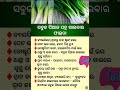 ଓଡିଆ ସାଧାରଣ ଜ୍ଞାନ #odia #gk #generalknowledge #odishanews0.6
