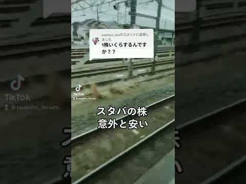スタバ株、こんなに安く買えるの知ってた？ #shorts