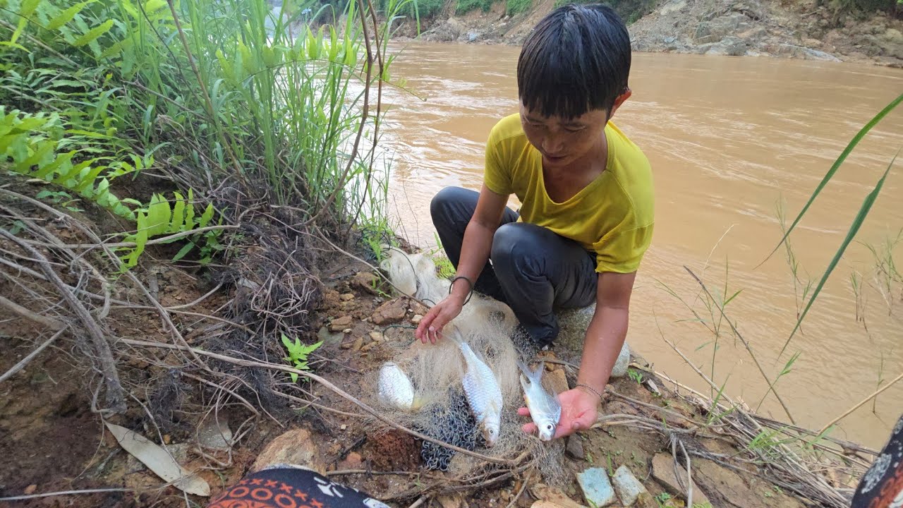 tuaj ntaus ntses mus noj ua teb 9/9/ 2025