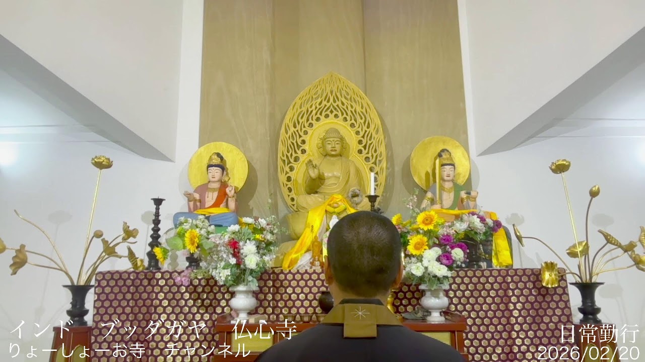 【疲れた心に癒やしの時間を】 毎日 お経配信 2147日目　インド　ブッダガヤ　仏心寺 / Every day Japanese buddhism service