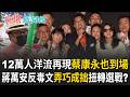 沈伯洋造勢跨圈聲援：蔡康永現身與綠營大咖站台