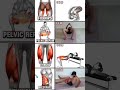 4 Simple Exercises for Hips, Thighs&amp;Belly Fat  Challenge#ChestWorkout #Forearms #HipFix #ShoulderDay