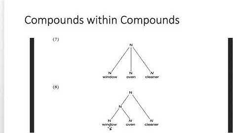Morphology chapter 7 tree diagram Lecture video part 2