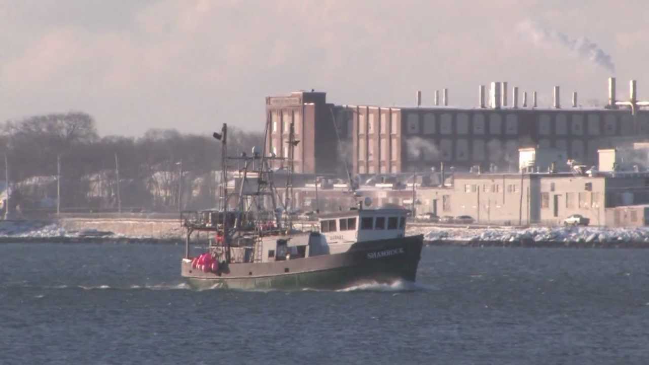 A Cold and Windy Day - YouTube