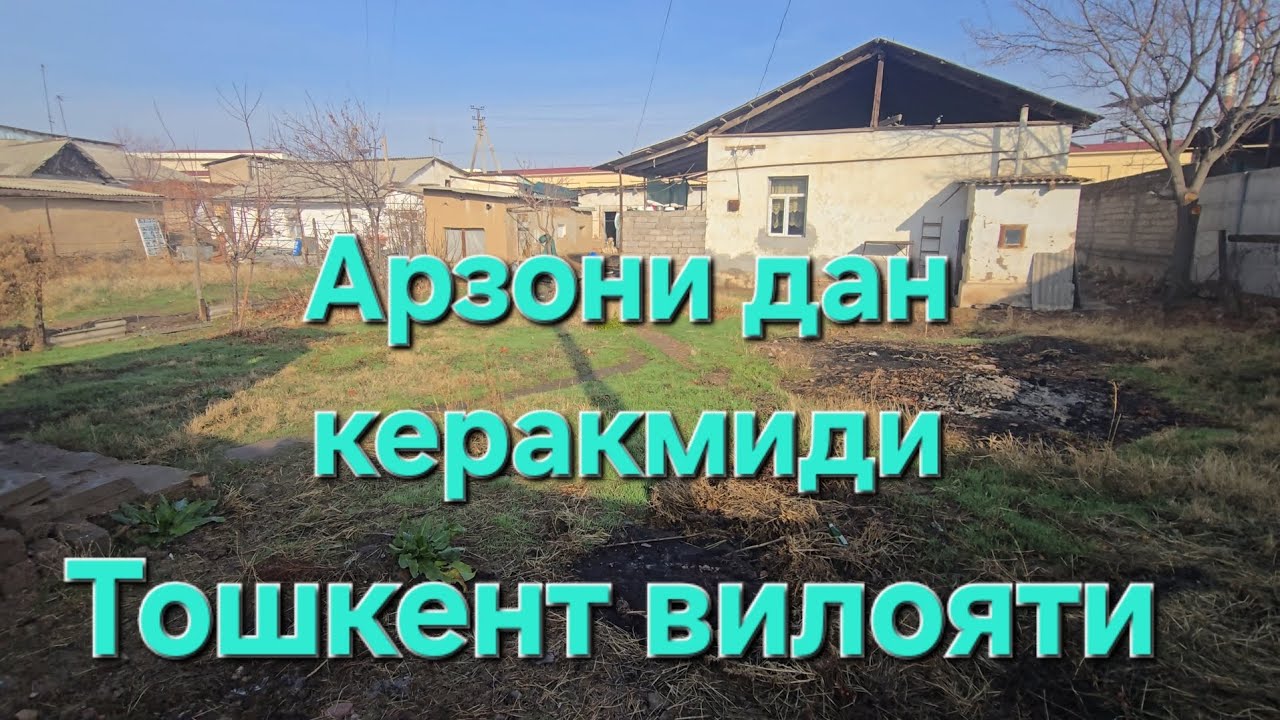 Зор имкониятни колдан бой бермейлар