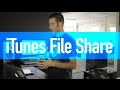 How Do It: Use iTunes File Sharing with AudioCopy