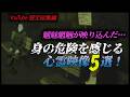 【YouTube限定総集編】魑魅魍魎が映り込んだ… 身の危険を感じる心霊映像5選!