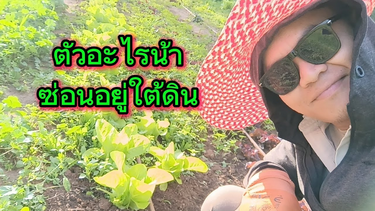 นักกิน ที่ไม่ต้องพึ่งดวงตา