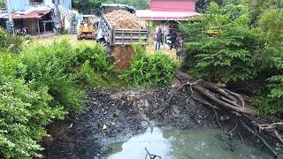 First Start Amazing PROJECT!! Filling Land Delete Useless Deep Fish Pond Use Bulldozer & 5Ton Truck.