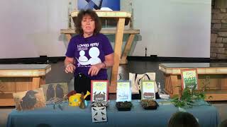 Kids' Bible Lesson, The Parable of the Sower