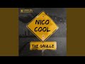 Nico cool