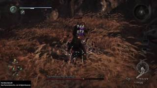 Nioh Beta - Tachibana Muneshige [no-dmg ki-Quickdraw Extravaganza]