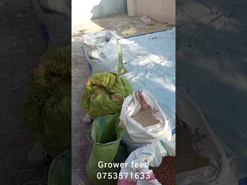 Kutengeneza Chakula Cha Kuku Wanaokua Grower Feed 