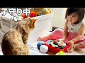 2歳娘の早朝おままごとを見守る寝起きの子守り猫