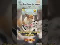 dogesh Bhai ka sawal #funny #dogeshbhai #funnymemes #memes#labrador#bike #motivation #funnyimages#yt