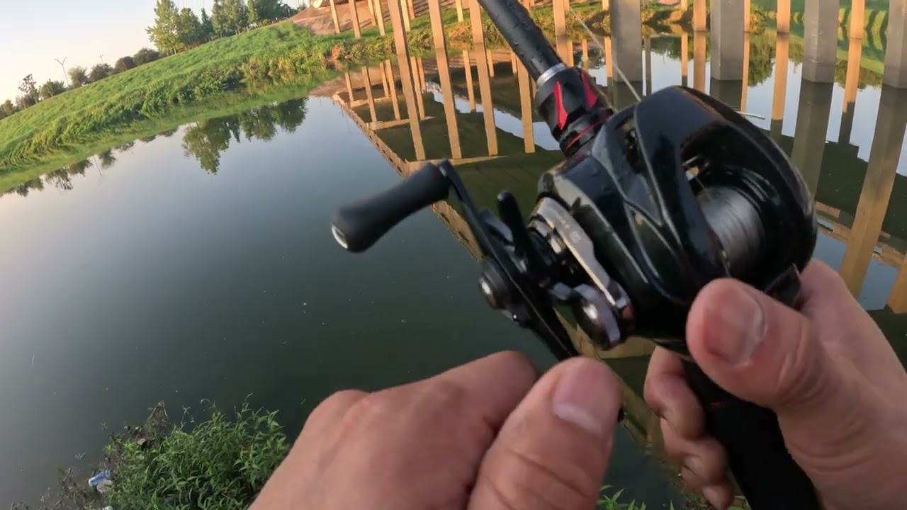 4K Bass Fishing in USA Largemouth Bass  Alligator Shimano Calcutta Conquest Casting Reel Megabass