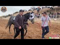 El Fugitivo Cuadra Rancho de Peña vs Tapado Cuadra Mayitos en Equestrian Carril Moapa Sport