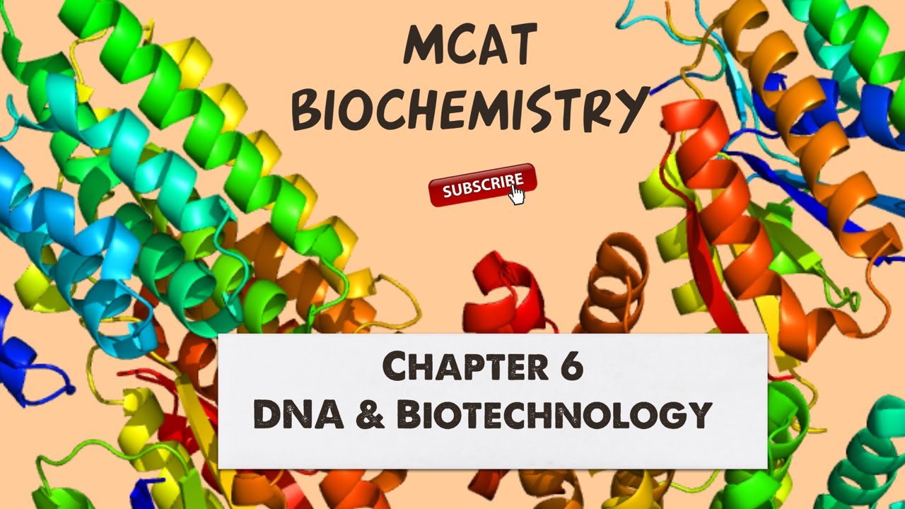 MCAT Biochemistry: Chapter 6 - DNA and Biotechnology (1/1)