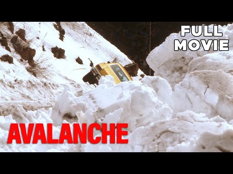  1978         
