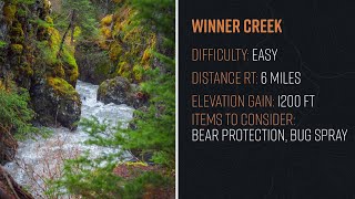Hiking Winner Creek Alaska - Quick Guide