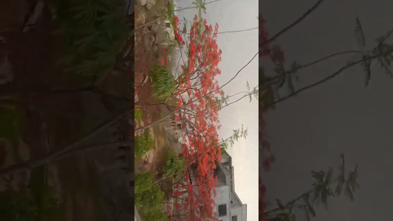 time decide everything £##